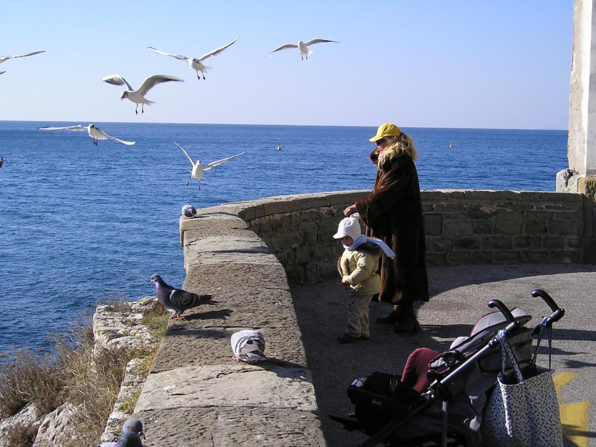 La mansarda delle meraviglie B&B Superior Trieste Esterno foto