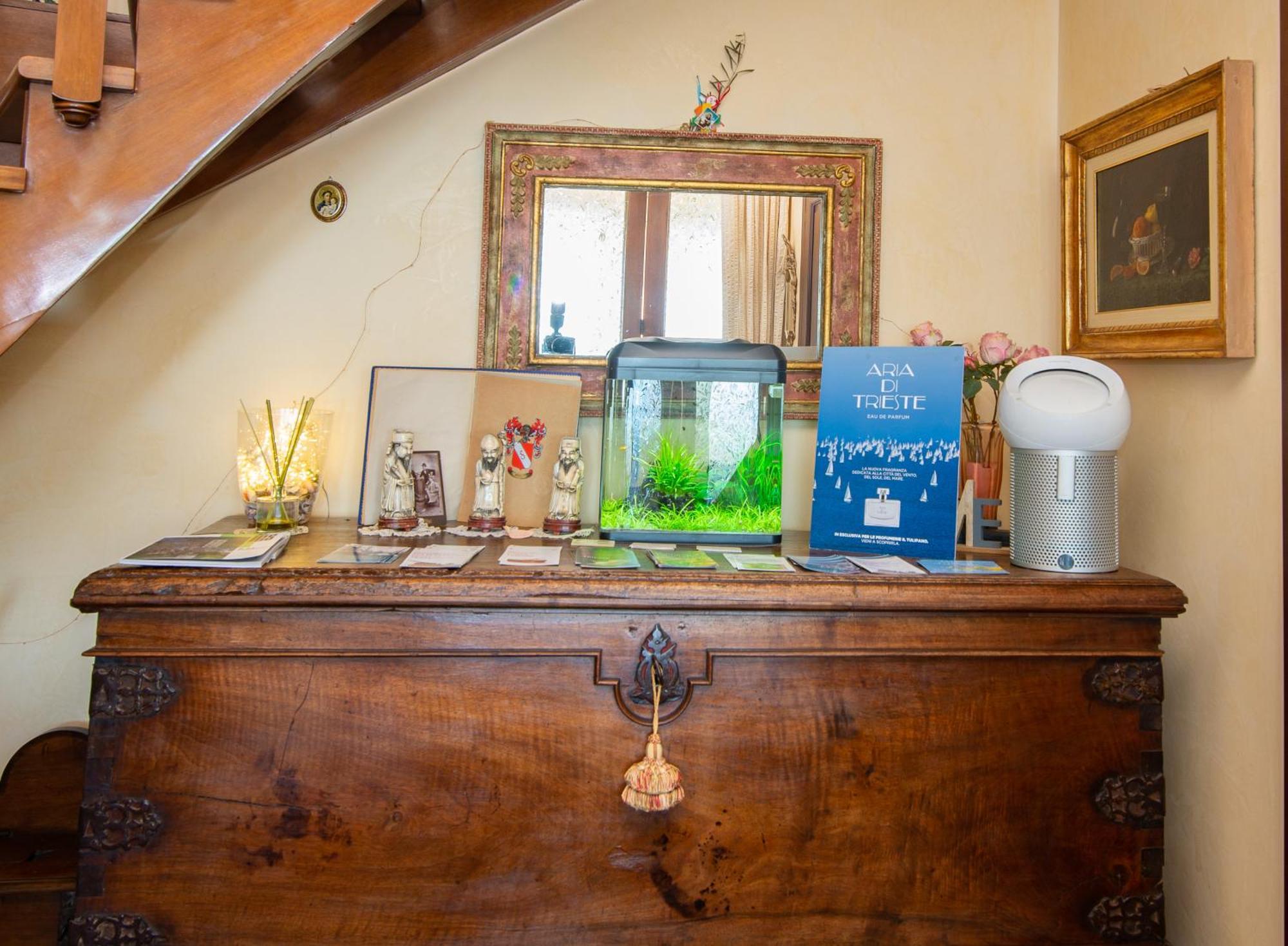 La mansarda delle meraviglie B&B Superior Trieste Esterno foto